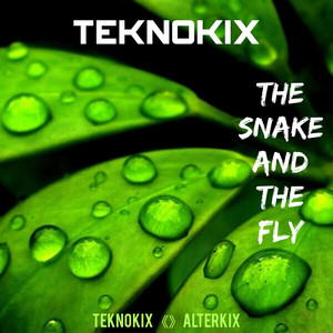 The snake and the fly by Teknokix, Alterkix