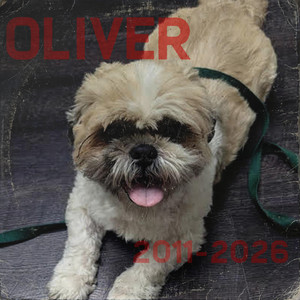 Special Silence - Oliver Ver. by Isaak Wolf