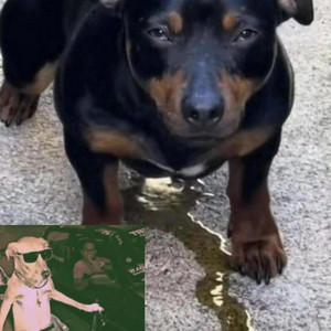 Percules32 - World Coming Down (Daddy Infertile)