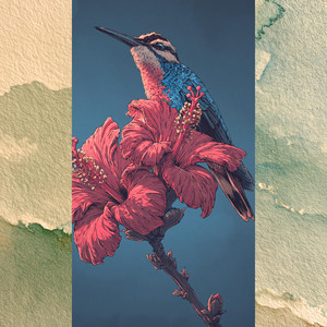 Colibrí by Em9