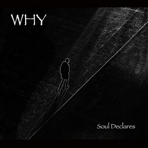 Soul Declares by WHY