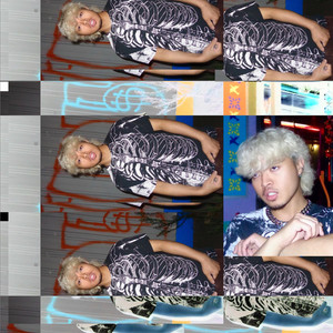 The Birds by Drool Audrey