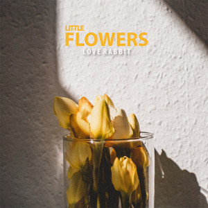 Little Flowers by Love Rabbit