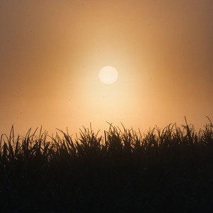 better with sunshine by Slowheal