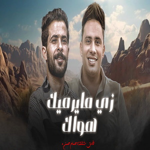 طارق شئلشه & حسام حسن - زى مايرميك هواك