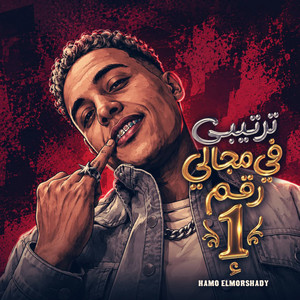 ترتيبى فى مجالى رقم واحد by حمو المرشدي
