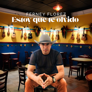 Estoy Que Te Olvido