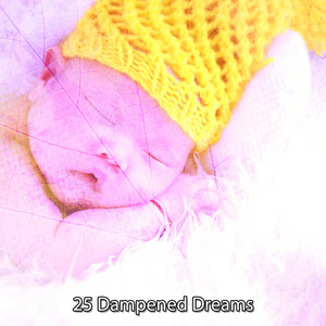 25 Dampened Dreams album