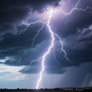 CARLI ON - Follow with your heart