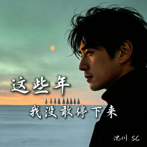 这些年我没敢停下来 by 沈川 SC