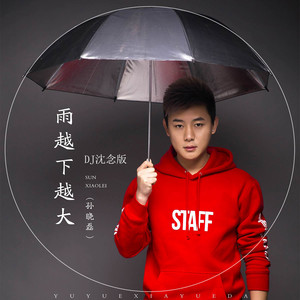 雨越下越大 (Dj沈念版)