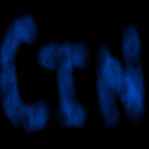Cin