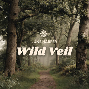 Wild Veil by June Harper
