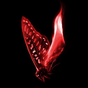 On Fire by Ocean Jet