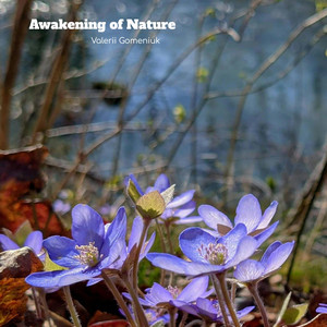 Awakening of Nature