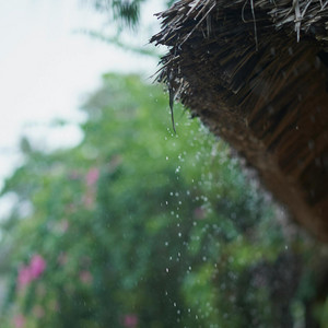 Rainy Roof by Bubbly Droplets