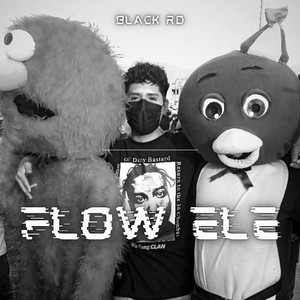 FLOW ELE by BLACK RD