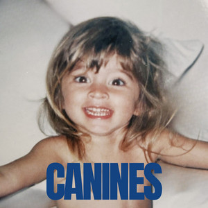 Canines by Dallas Rodin