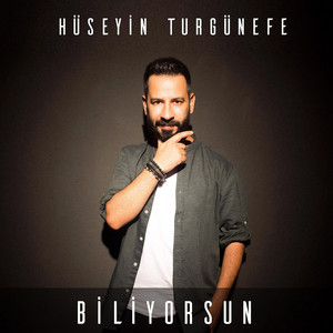 Hüseyin Turgünefe poster