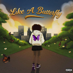 LIKE A BUTTERFLY by ZILO
