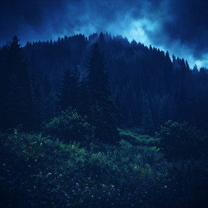 dissolve by MXRXE, FEDVR