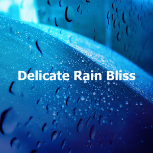 Delicate Rain Bliss album