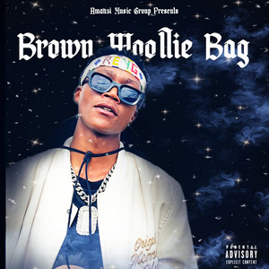 Brown Woollie Bag