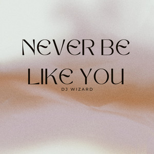 Never Be Like You - Radio Edit