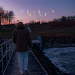 Mess in Mind