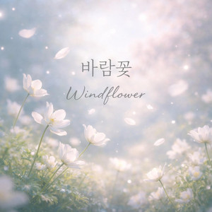 바람꽃 (Windflower) by PAN:DER