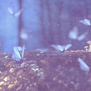 Hiko - Wildest Dreams (Slowed + Reverb)