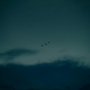 Liminal-- by Theodosius Bates