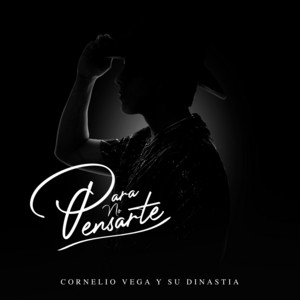 Para No Pensarte