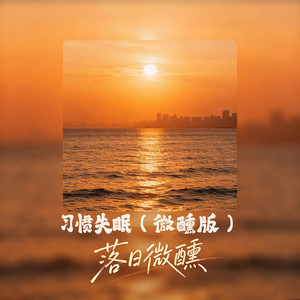 习惯失眠 - 微醺版 by 落日微醺