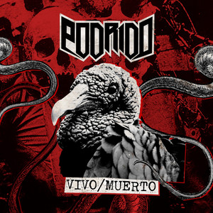 Veneno by Podridö