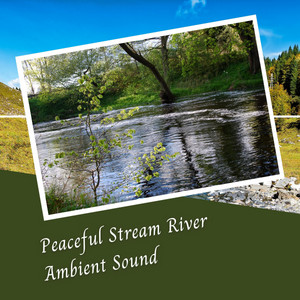 Peaceful Stream River Ambient Sound album