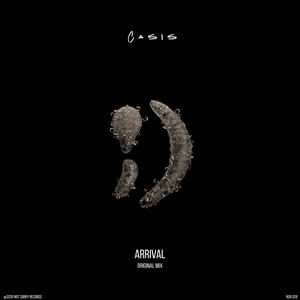 Arrival by Casis