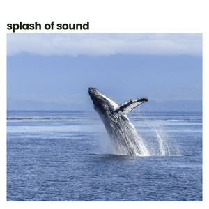 Splash of Sound album