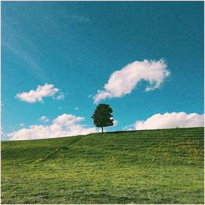 Underbrush by TEBE EY