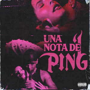 UNA NOTA DE PING