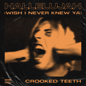 Hallelujah (Wish I Never Knew Ya) by Crooked Teeth