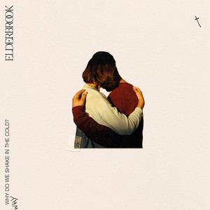 Why Do We Shake In The Cold? - Edit album art