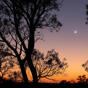 moonlit paths by Dikcloud