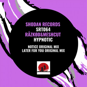 Later for You - Original Mix