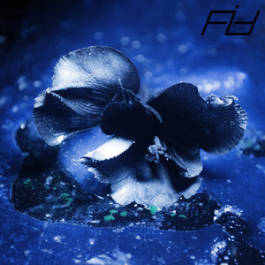 Flowers in formaldehyde cover