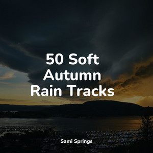 50 Soft Autumn Rain Tracks album