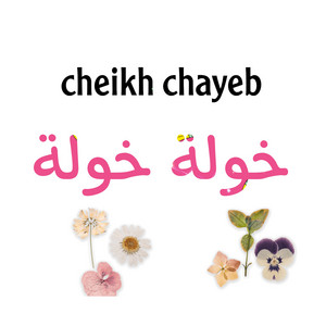Cheikh Chaib - خولة خولة