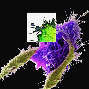 Codon (Oxygen) by ZEC.