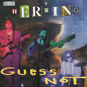 Guess Not by Blue Herring