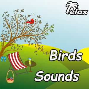 Mikhail Dzedevich - Birds Singing and Wind Sounds in Leaves